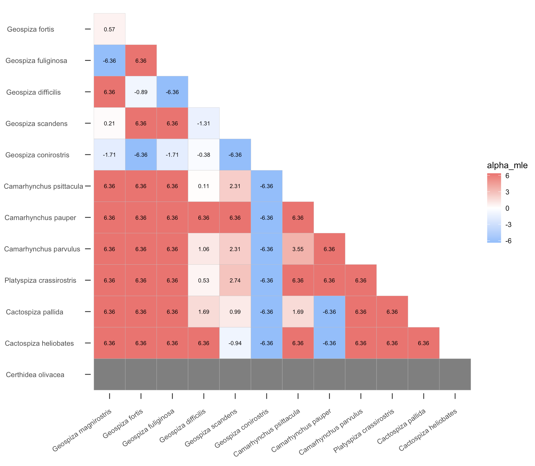 Alpha MLE among species-pairs with empty elements shown